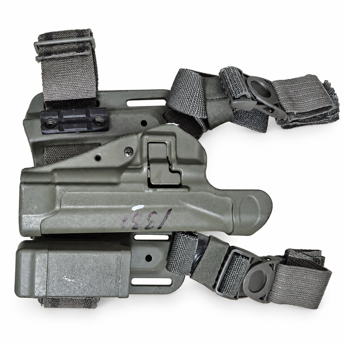 Complete foliage-green holster rig with thigh platform, straps and single magazine carrier.